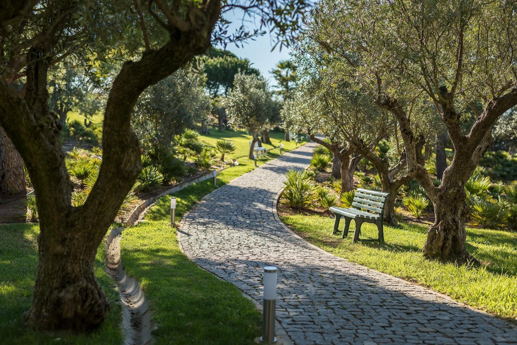 Kimpton Atlantico Algarve By Ihg Hotel Albufeira Exterior photo Olive trees in the park